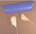 E-Z-Rol Garlic Peeler